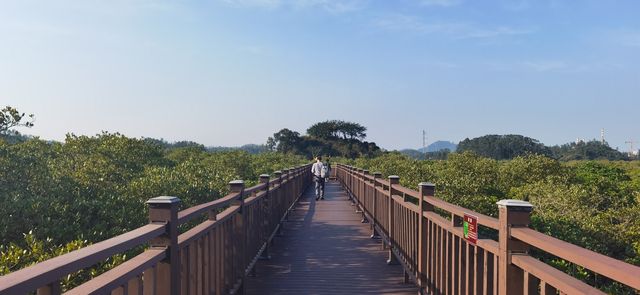 廣西欽州小眾景點仙島公園，全國最大孫中山銅像，千畝紅樹林