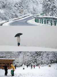 這裡不是東北，是雅安龍蒼溝｜成都2h雪國森林