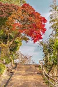 高松旅行四國村