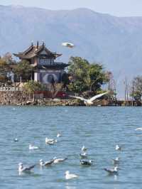 前往有風的地方過冬天 |雲南親子自駕