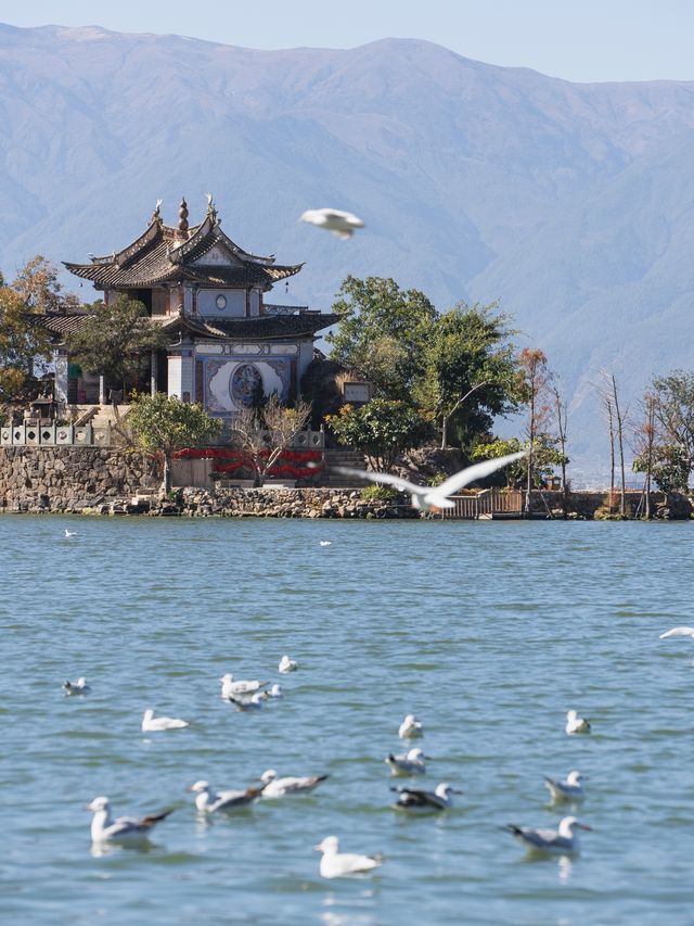 前往有風的地方過冬天 |雲南親子自駕