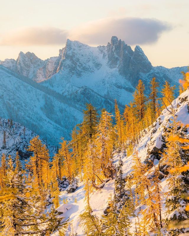 Unveiling the Breathtaking Beauty: Get Lost in a Captivating Collection of Autumn Images from Washington State! 📸✨🍁