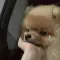 _TI***0t
