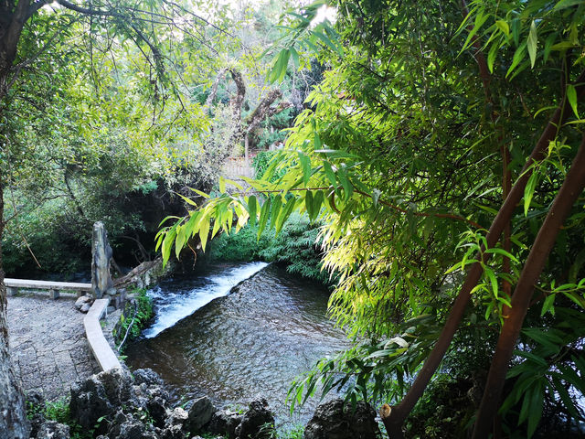 景色如畫，黑龍潭公園