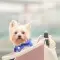 Max~Ward