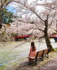 🌸 昨年の弘前公園の桜は美しかったです。