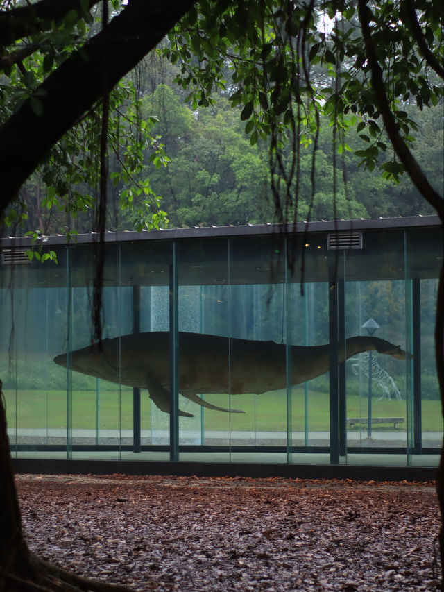 在廣州這個末日科幻感公園太適合陰雨天了