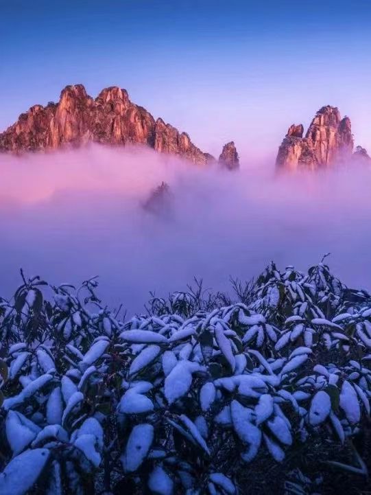 別只盯著東北，三清山的霧凇雪景也超美哒！