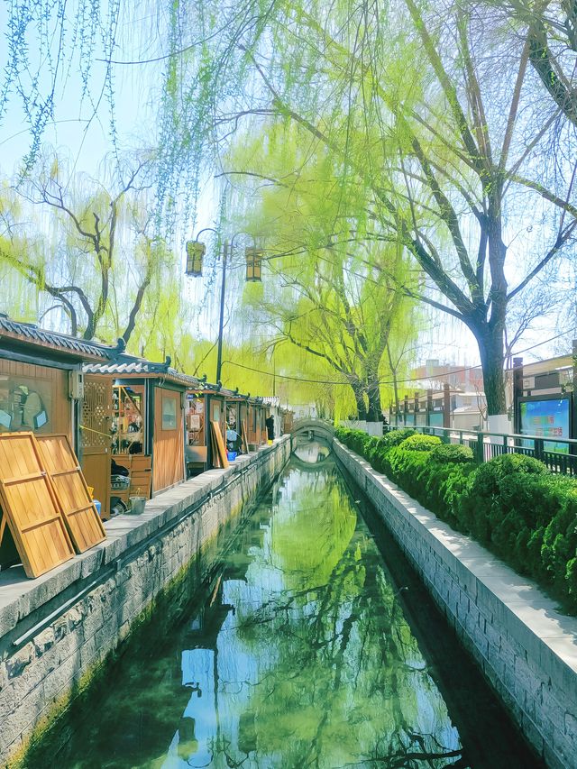 濟南遛娃｜泉城老城區的春天確實超美