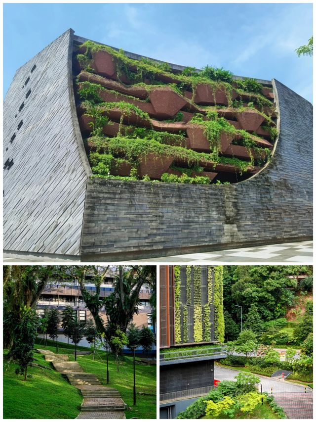 新加坡國立大學｜第一次去的超全攻略