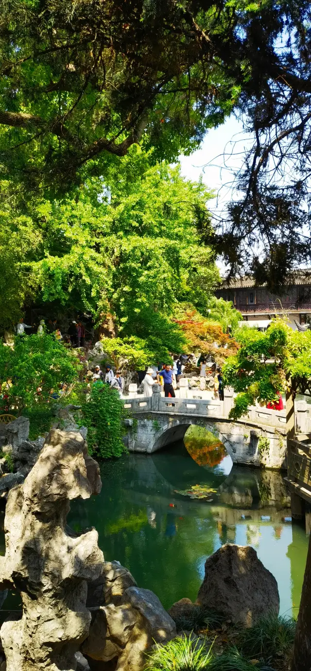 The Rockery Maze in the Garden - Lion Grove