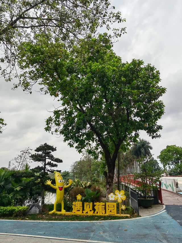 來東莞這個香蕉文化園，清靜人少長知識
