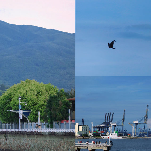 推薦深圳絕美海景打卡地，地鐵直達