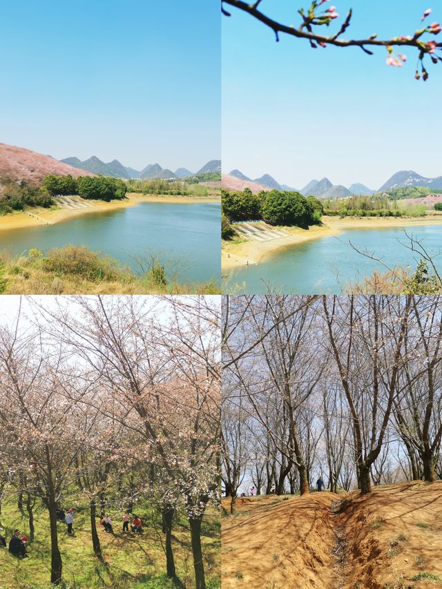 貴州美景多，景點免門票|清鎮平壩兩日遊攻略