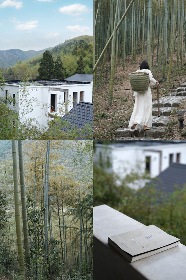 宿
