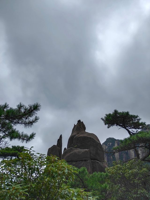 三清山 三清山一定要去一次! 三清山 三清山一定要去一次!