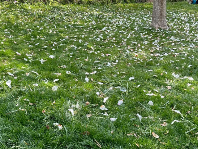 一定要去中山植物園