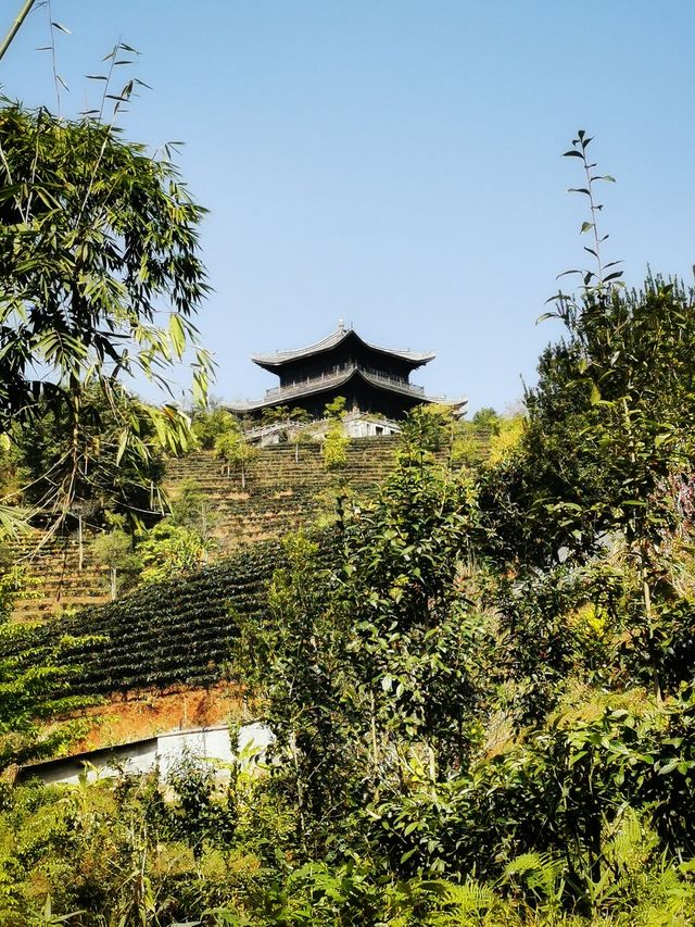 茶馬古城景區｜遊玩攻略