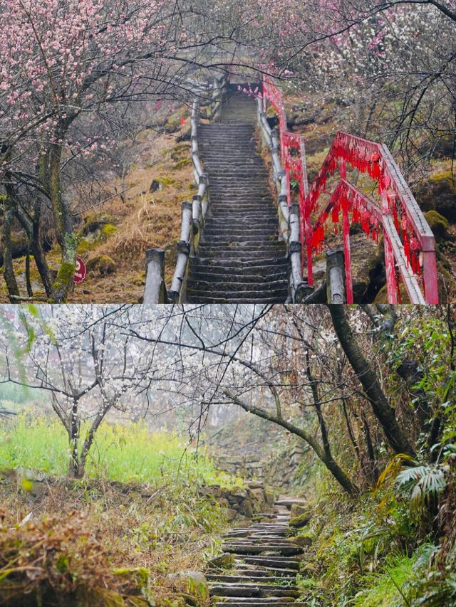 羅漢造像的藝術寶庫，仿彿置身「小西天」
