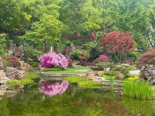 位於上海市中心的免費公園，交通便利、美若仙境