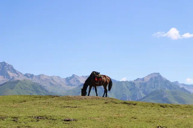 Once again, Xinjiang