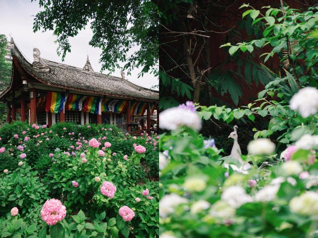 開滿無盡夏的千年古寺