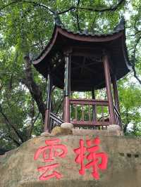 於山｜藏於鬧市中～獨守一方靜