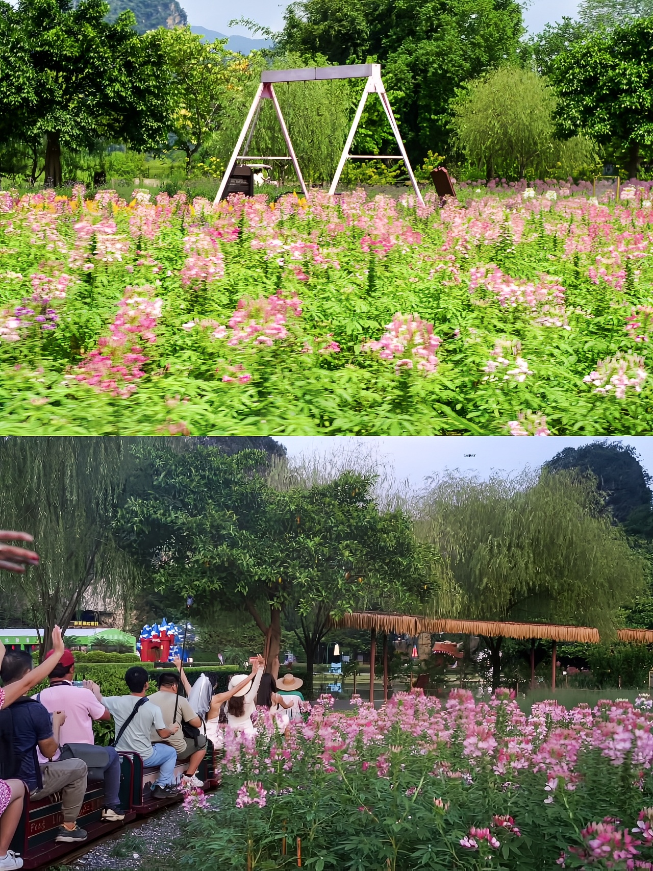 清遠自由行旅遊攻略 (2024): 好去處、熱門景點、行程規劃、住宿美食推薦 | Trip.com
