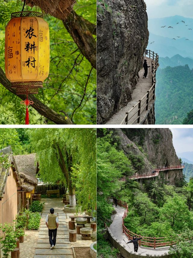 後悔才來，河南被嚴重低估的寶藏旅行地