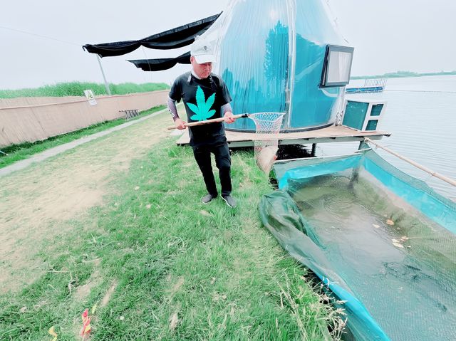 保定白洋淀村西小院，龍舟船餐298包6個特色菜2小時遊玩！