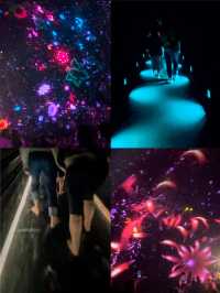 A Mesmerising Experience at TeamLab Planets ✨