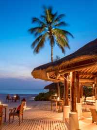 🌴 Maldives Bliss: Banyan Tree Vabbinfaru's Top Picks 🏝️