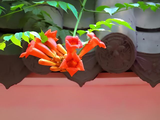 徒步壽光蔬菜高科技示範園，開啟奇妙蔬菜之旅！