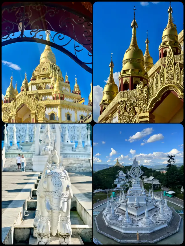 Mangshi: An Exciting Tropical Adventure