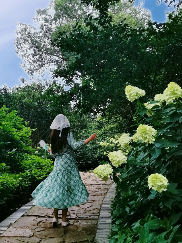 在成都！！鮮花織就的小徑