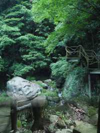 浙西大峽谷，小眾避暑勝地，夏日裡的一抹清涼