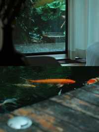 崇明島最佳民宿體驗也山花園