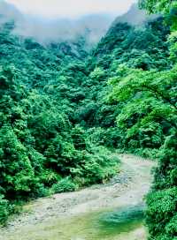 原始森林公園，絕美之旅
