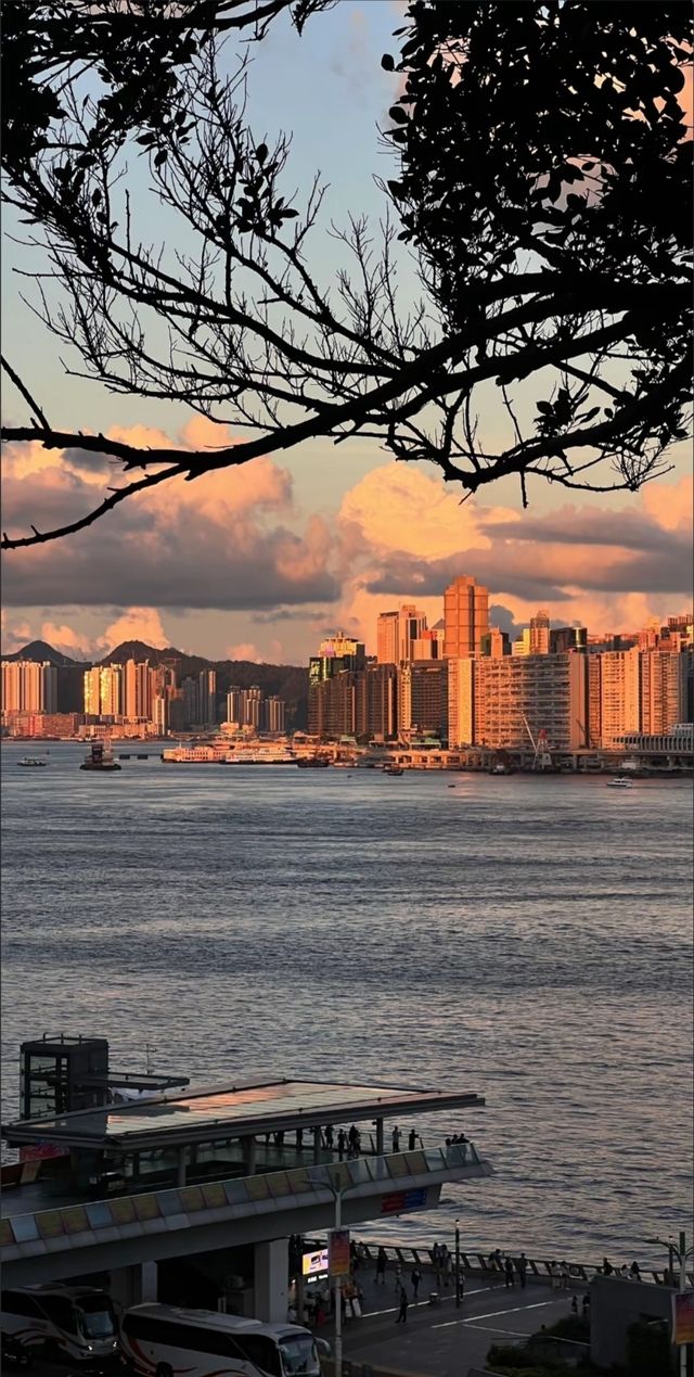 香港最全兩日遊攻略，快碼住！！！