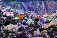 湘湖旁邊隱藏著的海洋館
