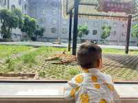 九月錯峰去平南雄森動物大世界體驗包場的快樂