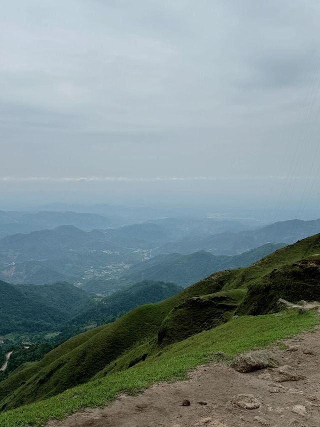 广西旅游/0元打卡“小新疆”一日游最新攻略