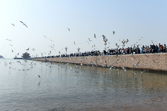 清涼一夏就來青島棧橋