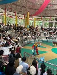 杭州citywalk虎跑公園，動物園，兒童樂園