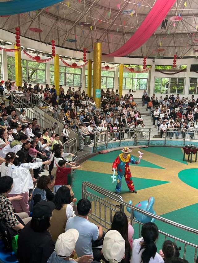 杭州citywalk虎跑公園，動物園，兒童樂園