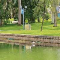 廈門市內好去處|在南湖公園遛彎
