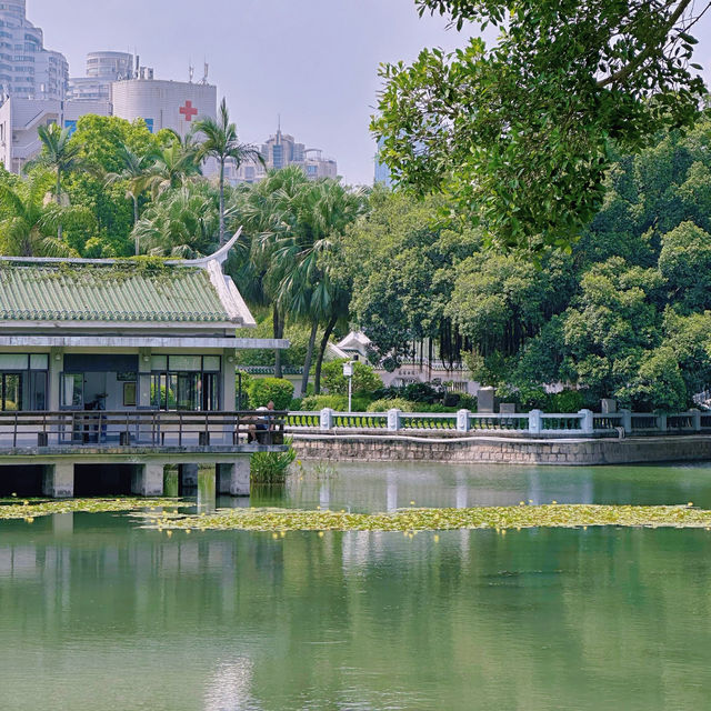 「中山公園」：免費入場，中式風格庭院，還有動物園和相親角
