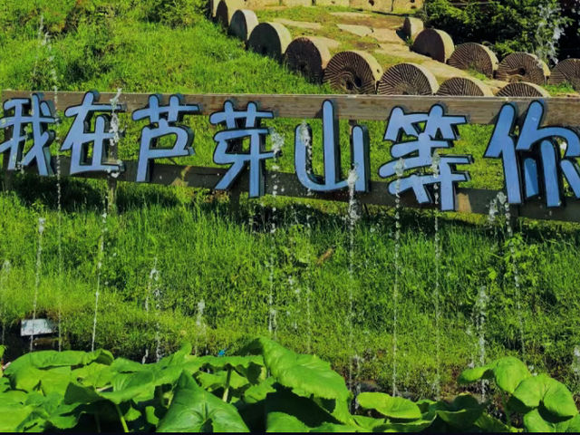 這裡真的不是新疆阿勒泰，而是山西的忻州蘆芽山