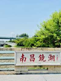 夏日再出發深圳，機場附近的寶安紅樹林公園我拍到了人生瞬間畫
