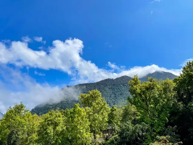 Fresh air in the peaks of the mountains 